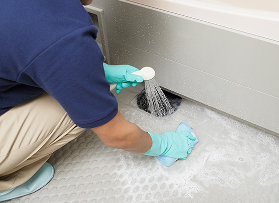 cleaning